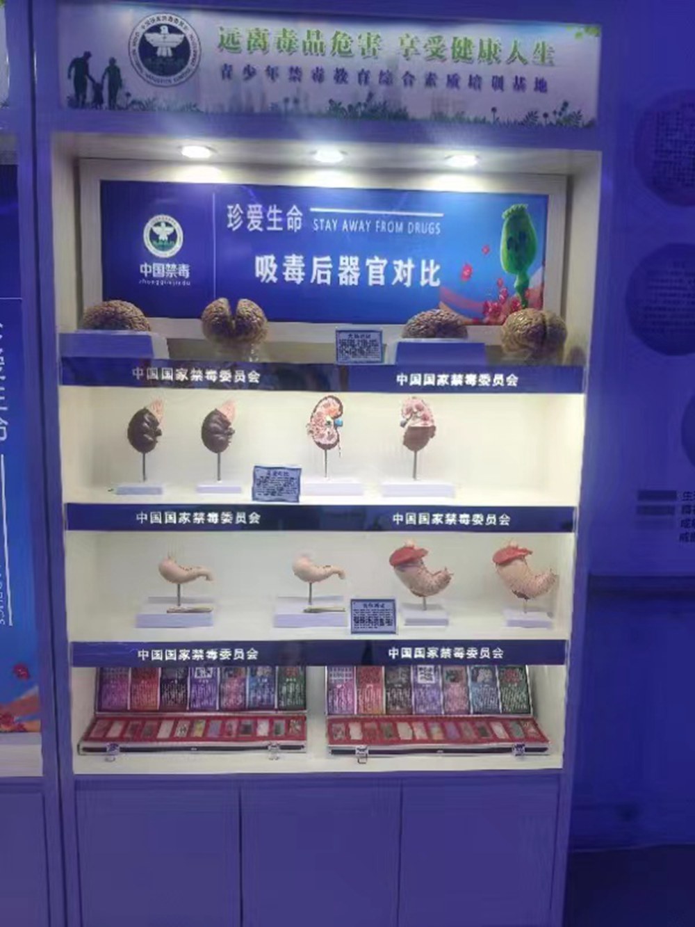 %title插圖%num
