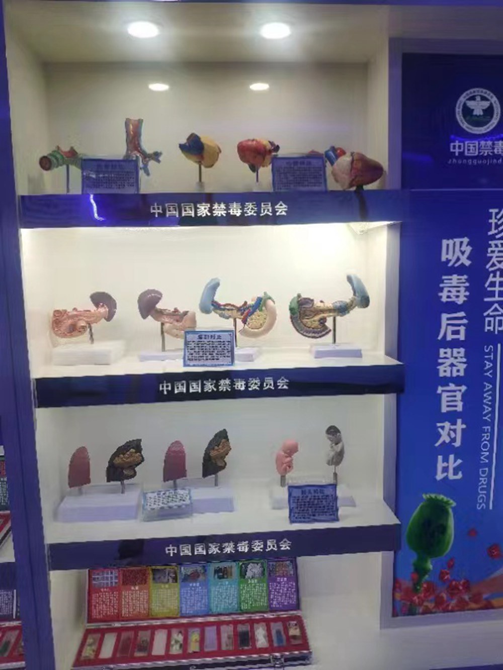 %title插圖%num